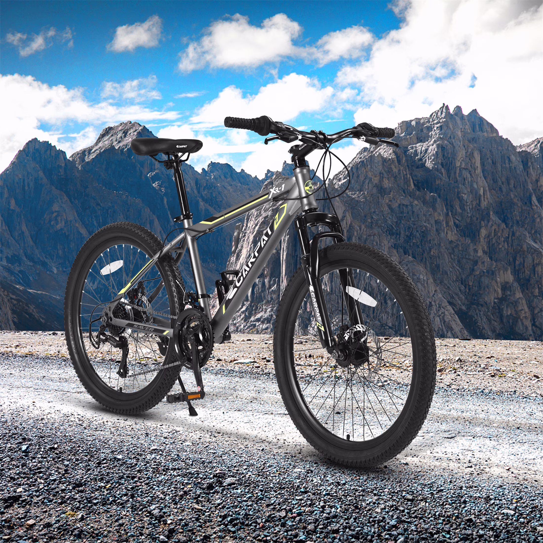 Arnahaishe Adult 24 Inch Mountain Bike 21 Speed MTB Bicycle, Gray